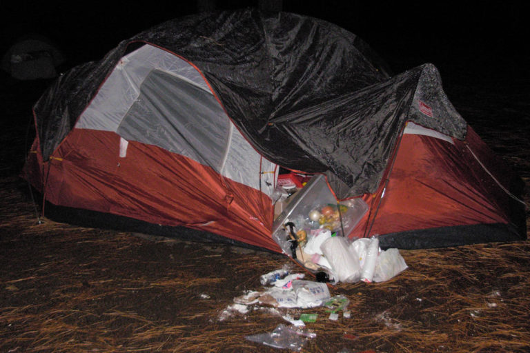 Food Storage Keep Bears Wild