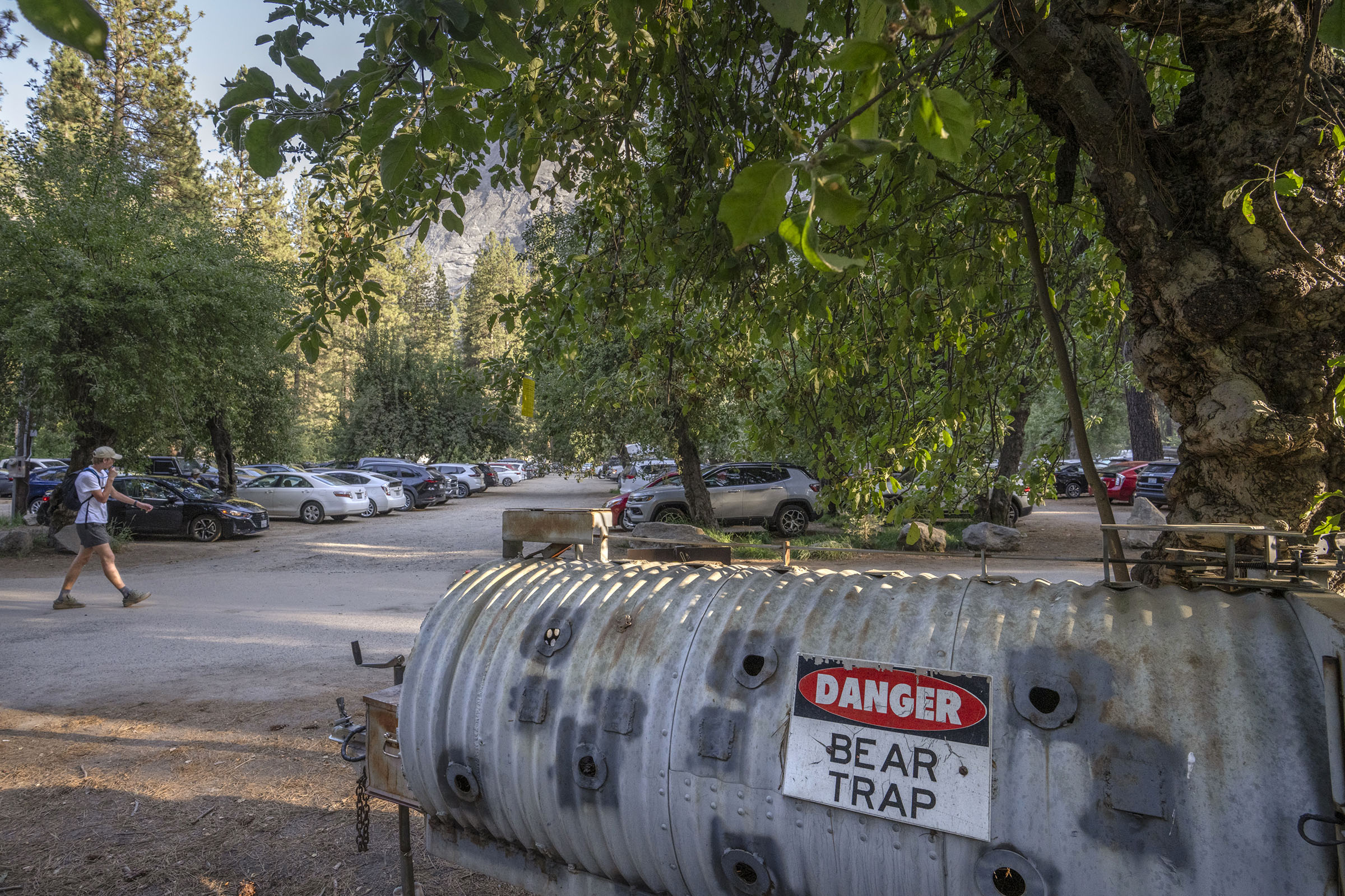 A bear trap trailer with a sign "Danger Bear Trap" is parked in a packed parking lot with trees.