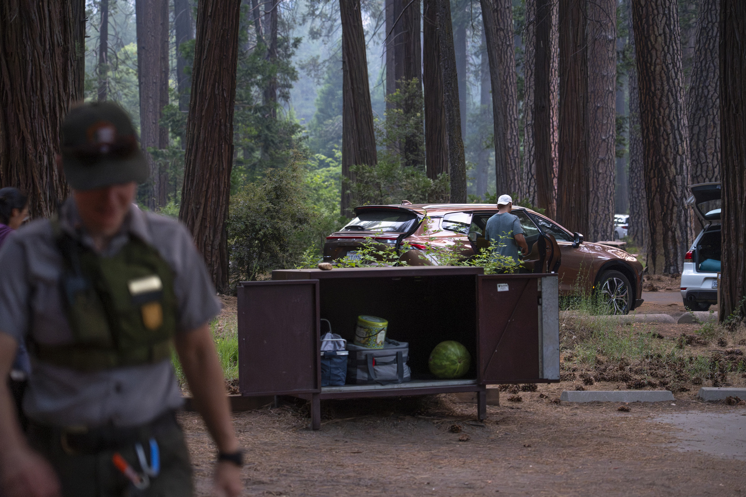 A ranger walks away from an open bear-resistant food storage locker in a campsite after educating campers (behind ranger) to keep the locker closed at all times.